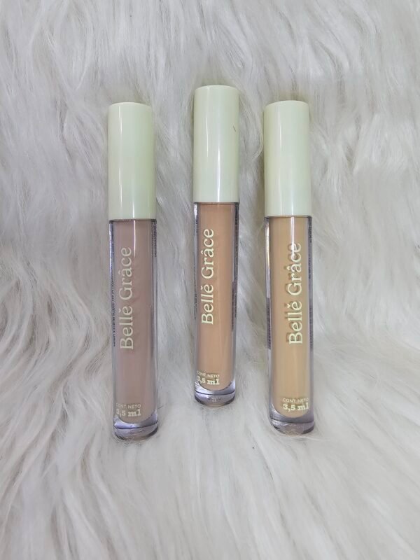 Corrector Liquido