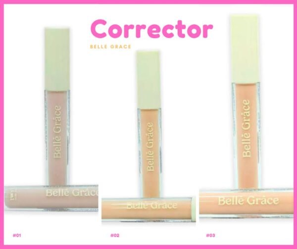 Corrector Liquido